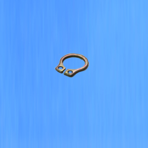 CAST016 Retaining Ring