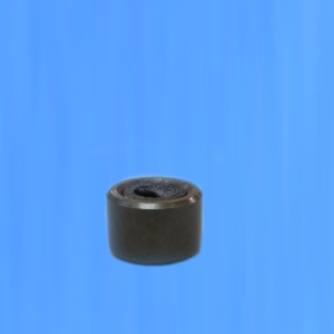 CAST025 Cam Bearing